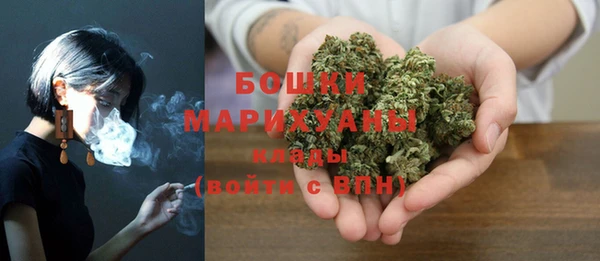 эйфоретик Бородино