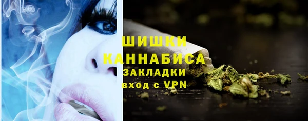 дживик Бронницы