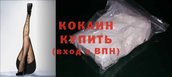 дживик Бронницы