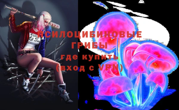 дживик Бронницы