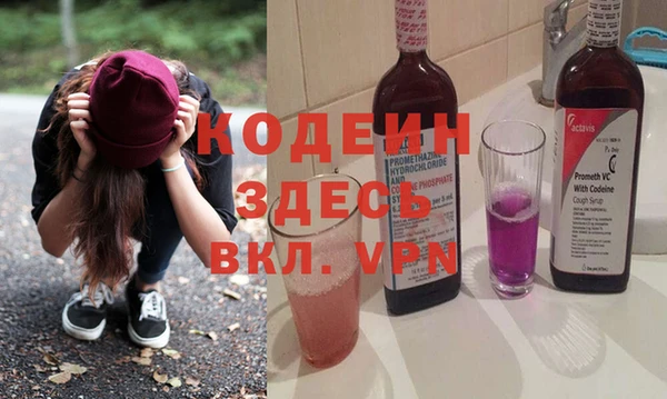 эйфоретик Бородино