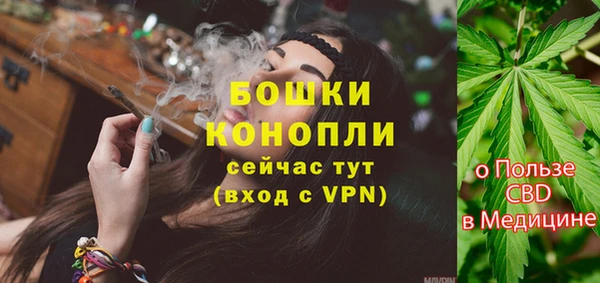 эйфоретик Бородино