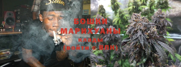 дживик Бронницы