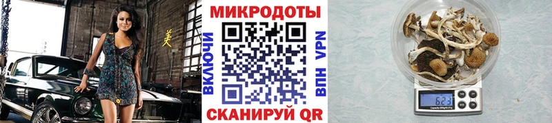 площадка формула  Реутов  Галлюциногенные грибы MAGIC MUSHROOMS 